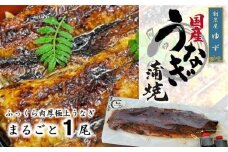 老舗料理屋がお届けする「紀州備長炭で焼き上げた国産鰻蒲焼」長焼き１尾