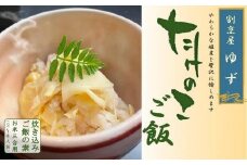 【2025年4月以降発送】老舗料理屋がお届けする「貝塚木積産たけのこご飯」３合分