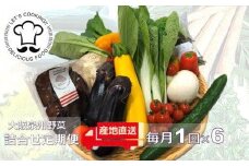 【定期便6回】シェフ御用達！大阪泉州野菜BOX