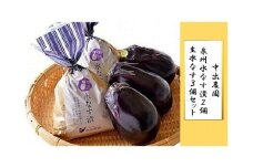 泉州水なす漬 ２個 ＋ 生水なす ３個 セット | 茄子 なすび ナス なす 水茄子 水なす 水ナス 野菜 やさい 漬物 漬け物 漬け 人気 おすすめ