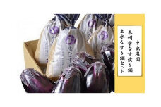 ＜先行予約＞中出農園　泉州水なす漬６個＋生水なす６個セット