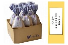 泉州 水なす漬け ６個入り | なすび 茄子 ナス 水茄子 水なす 漬け物 漬物 漬け 人気 おすすめ
