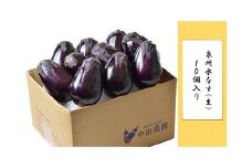 【先行予約】泉州水なす（生）１０個入り