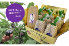 水なす＆きゅうりの浅漬セット(ぬか漬)【南漬物】