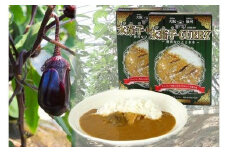 水茄子カレー10個セット