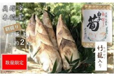 ＜先行予約／令和8年(2026年)３月下旬頃から発送＞【高級たけのこ】貝塚市木積産　極上朝掘り白子筍 約2kg（竹籠入り）
