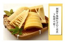 ＜3月中旬頃～発送予定＞朝掘り地物たけのこ水煮【お刺身OK！下処理不要！】