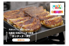★【TV番組とコラボ】貝塚発！究極のごくあつ鉄板ホッタッターＡ５(鉄板のみ)