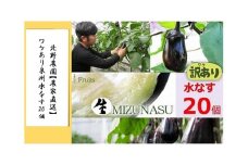 北野農園【農家直送】ワケあり泉州水なす20個 /訳あり 家庭用 不揃い 規格外 生なす 泉州水なす 水なす 泉州水ナス 水ナス 茄子