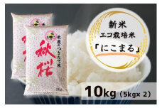 【米屋のつきたて米】新米！エコ栽培米『にこまる』10kg（5kg×2袋）