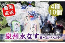 北野農園　泉州水なす４種１０個セット