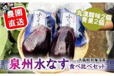 北野農園　泉州水なす丸漬酸味２個＋生水なす２個