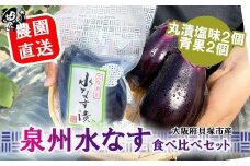 北野農園　泉州水なす丸漬塩味２個＋生水なす２個