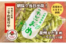 【令和６年産　先行予約】泉州えだまめ　朝採り当日出荷！ 200g×５袋　縣農園直送　枝豆