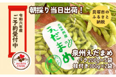 【令和６年産　先行予約】泉州えだまめセット　朝採り当日出荷！バラ200g×5袋・300g×2袋　縣農園直送　枝豆