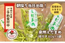 【令和６年産　先行予約】泉州えだまめ　特選枝付き　朝採り当日出荷！　300g×5袋　縣農園直送　枝豆
