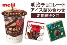【2か月に1回×3回の定期便】チョコレートアイス詰め合わせ！