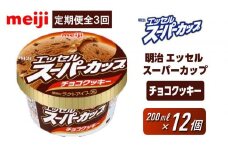 【全3回毎月お届け】人気の明治 エッセル スーパーカップ「チョコクッキー」定期便