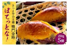 [和菓子屋がスイートポテト焼いちゃいました] ぽてっとな！250g×5個 [御菓子司つくし 大阪府 守口市] [0834]