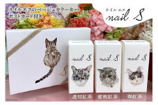 化粧品 マニキュア「ネイルエス」紅茶セット｜シンセリティーコスメ 大阪府 守口市 [2013]
