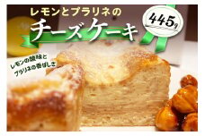 レモンとプラリネのチーズケーキ｜チーズケーキ [2320]