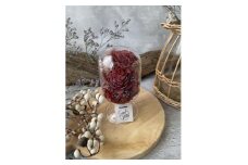 ＜赤系＞天球bottle flowers　Msize【1305651】