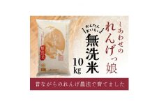 しあわせのれんげっ娘 10kg (無洗米)【1301951】