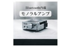 Bluetooth内蔵1Wモノラルアンプ　シルバー　NMP-101【1432836】