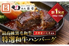 特選和牛〈焼肉薩摩 完熟平野幸一之牛〉ハンバーグ10個_ハンバーグ 和牛 特選 黒毛和牛 1kg 10個 冷凍 人気 おすすめ 送料無料 贈答 ギフト プレゼント【1014403】