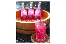 赤しそサイダー　　250ml　×12本【1004051】