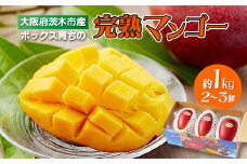 大阪府産小川農園の《贈答用》完熟マンゴー〈2～3個入〉約1kg＜R7年7月中旬発送開始＞【1229124】