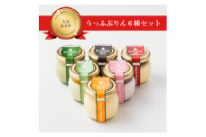 うっふぷりん6種セット　12個入【1259527】