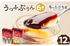 うっふぷりん6種セット　12個入【1259527】