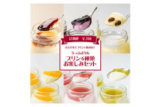 ＜発送月固定定期便＞うっふぷりんのプリン6種類お楽しみセット全3回【4011325】
