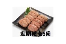 ＜2ヵ月毎定期便＞特選和牛(焼肉薩摩の完熟平野幸一之牛)ハンバーグ10個全6回【4050394】