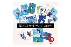 イラスト作家「菜生」ポストカード15枚入〈ペンギンAセット〉【1508166】