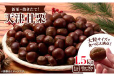 ＜800g＞新栗ビックサイズ!!焼きたて!!天津甘栗　大粒サイズ　期間限定でお届けします。_ 栗 くり 甘栗 天津甘栗 おやつ スイーツ 焼きたて 甘い 菓子 お菓子 マロン 常温 送料無料 人気 おすすめ お取り寄せ 大粒 新栗 限定 【1510513】