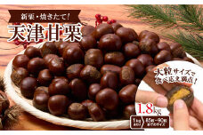 ＜1.8kg＞新栗ビックサイズ!!焼きたて!!天津甘栗　大粒サイズ　期間限定でお届けします。_ 栗 くり 甘栗 天津甘栗 おやつ スイーツ 焼きたて 甘い 菓子 お菓子 マロン 常温 送料無料 人気 おすすめ お取り寄せ 大粒 新栗 限定【1510517】