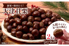 ＜1.8kg＞新栗ビックサイズ!!焼きたて!!天津甘栗　大粒サイズ　期間限定でお届けします。_ 栗 くり 甘栗 天津甘栗 おやつ スイーツ 焼きたて 甘い 菓子 お菓子 マロン 常温 送料無料 人気 おすすめ お取り寄せ 大粒 新栗 限定【1510517】