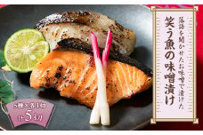 落語を聞かせたお味噌で漬けた「笑う魚の味噌漬け」【1524796】