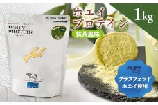 プロテイン100　ワイルドフィット　抹茶風味【1582769】