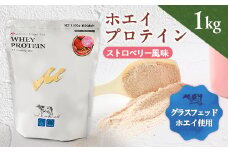 プロテイン100　ワイルドフィット　ストロベリー風味【1582770】