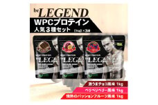 ビーレジェンド WPCプロテイン 人気3種セット＜1kg＞×3袋【1595311】