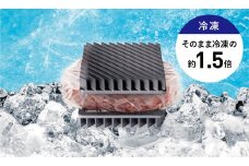 B279　OMRIQ PLATE（オムリック プレート）