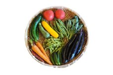 E158【定期便】季節の厳選野菜詰め合わせセット(お届け回数:4回)