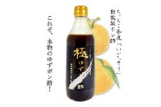 B309 極みゆずポン酢 120ml×１本 360ml×３本【ぽん酢 ポン酢 ゆず 柚子 ４本 セット 詰め合わせ 調味料 柑橘 大阪府 八尾】
