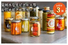 泉州水なすピクルス等 お任せピクルスセット 3個 いずみピクルス NSW