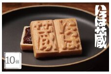 【明治25年創業】最中 いろは蔵 10個【和菓子 もなか 個包装 むか新 工場直販 贈り物 ギフト 泉州名産】