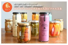 ドレッシング・ピクルスの６本セット いずみピクルス NSW