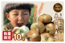 【先行予約】数量限定 幻のたまねぎ 泉州黄玉ねぎ 10kg【新鮮 野菜 泉佐野産 茄子 やさい 高評価 数量限定】